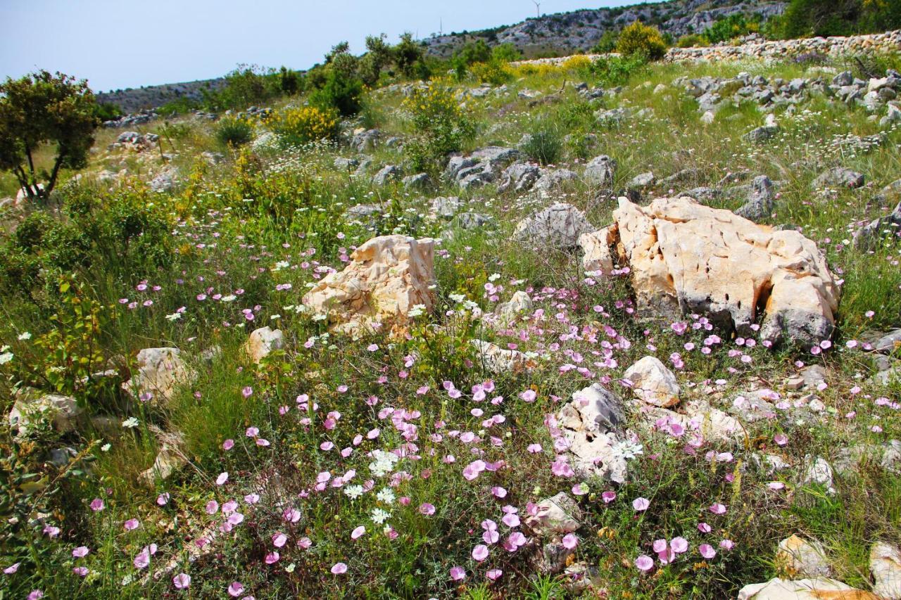 Villa Zlatno Sunce In The Hills Near Trogir Vrsine Buitenkant foto