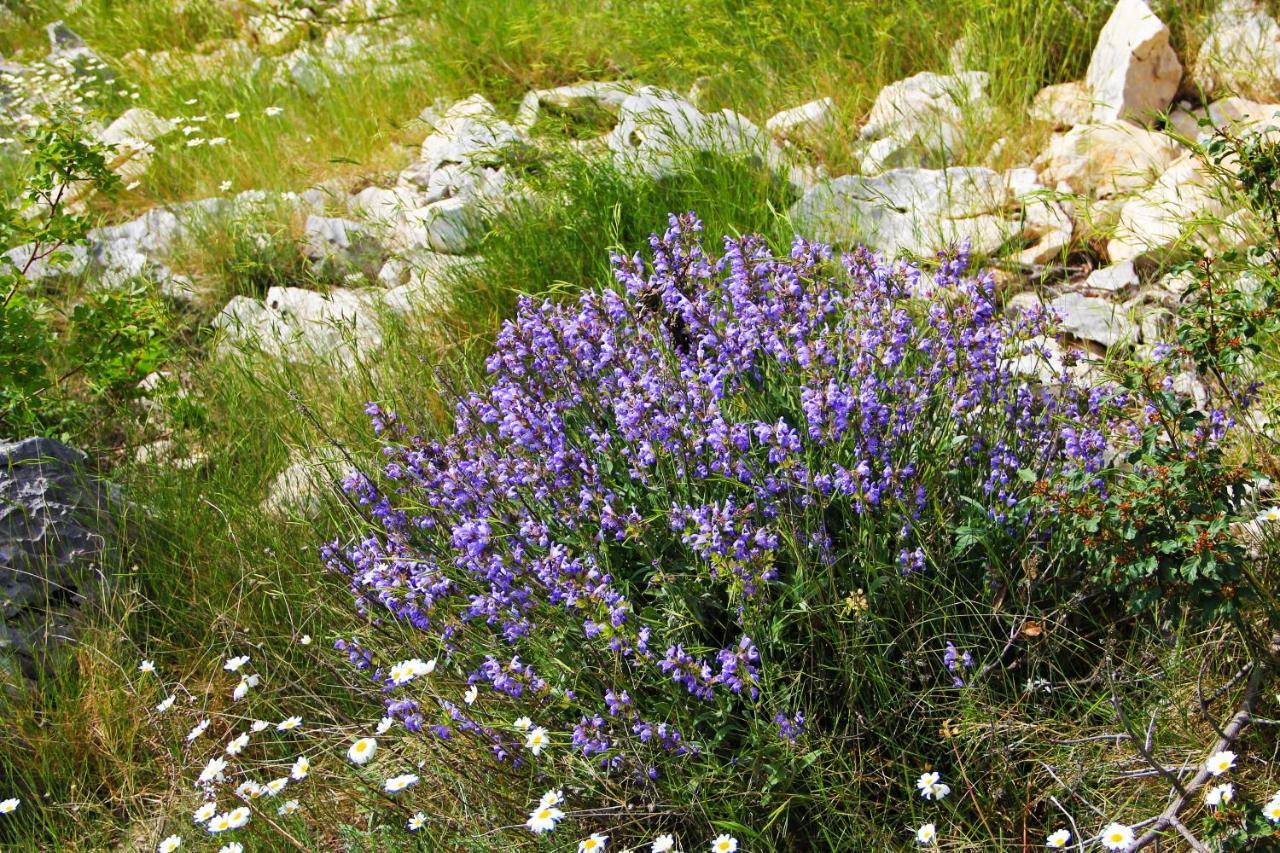Villa Zlatno Sunce In The Hills Near Trogir Vrsine Buitenkant foto