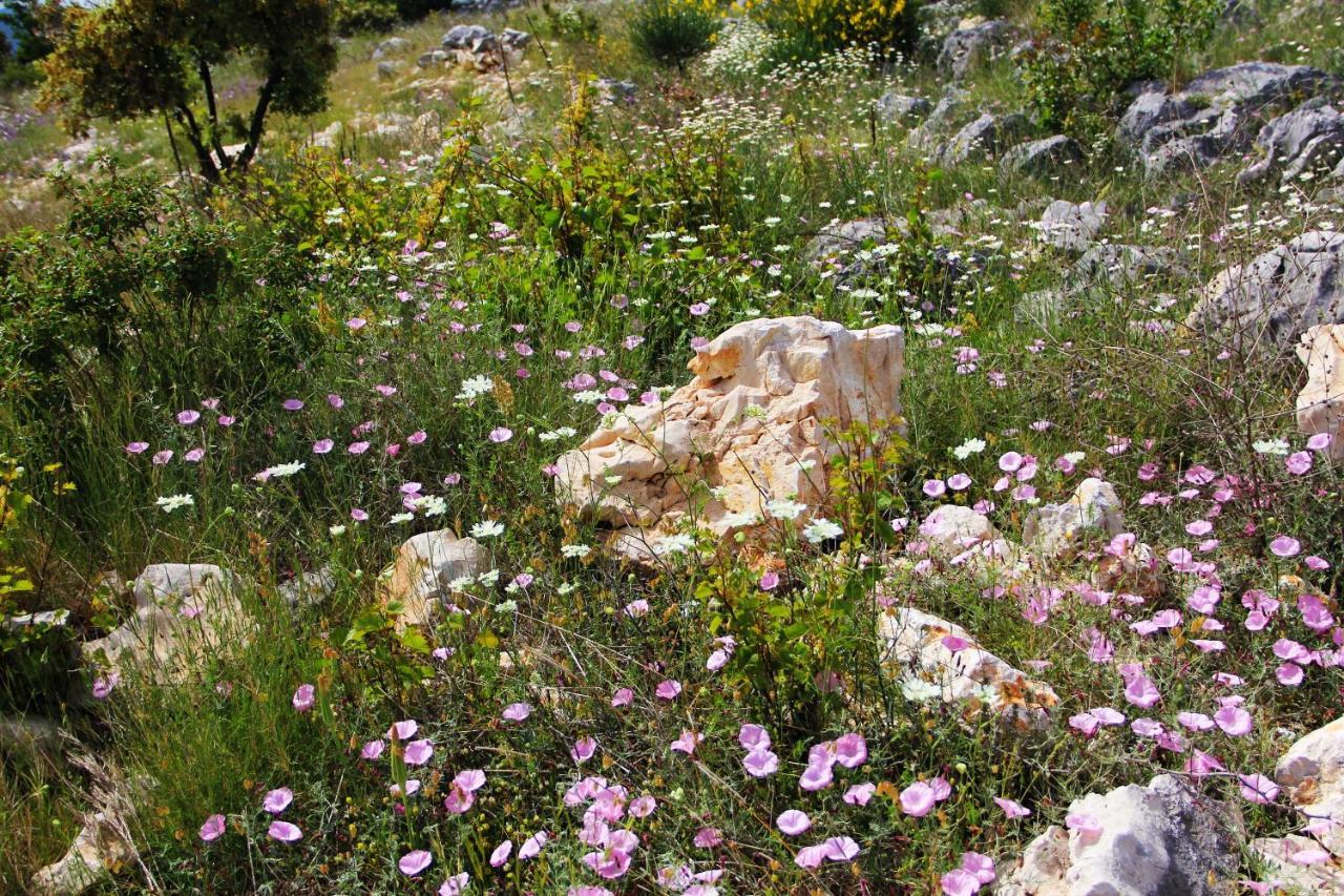 Villa Zlatno Sunce In The Hills Near Trogir Vrsine Buitenkant foto